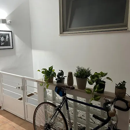 Frank's House 41 Underground 3* Cavallino di Lecce